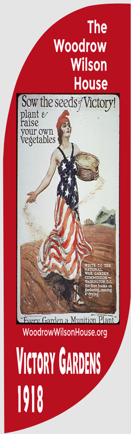 flag showing WWI poster of Columgia